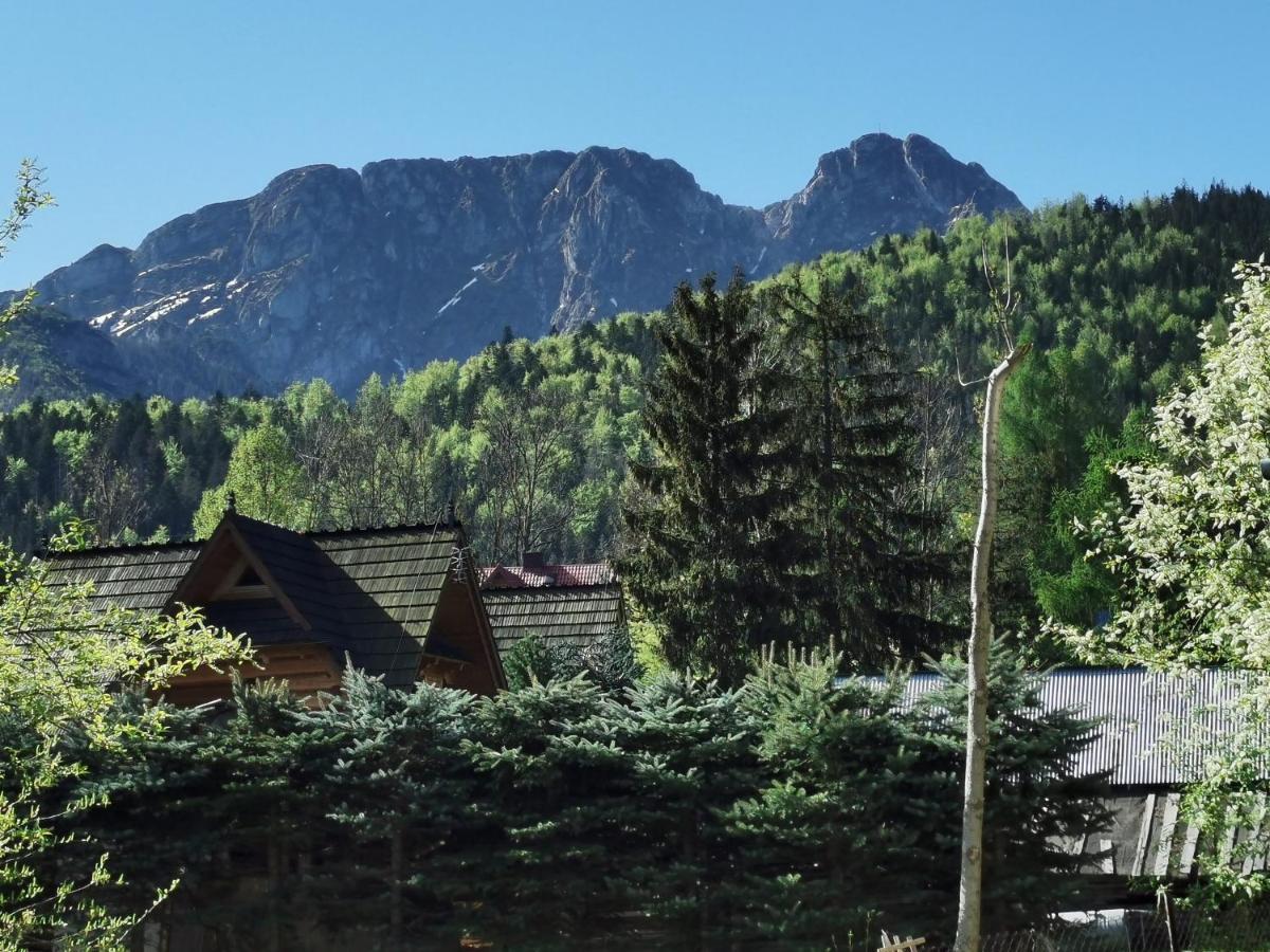 Willa Senator Zakopane Exterior photo